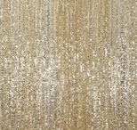 champagne florida photo booth rental curtain