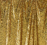 florida photo booth backdrop