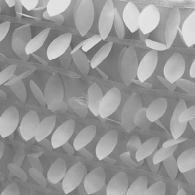 white petals florida photo booth rental curtain